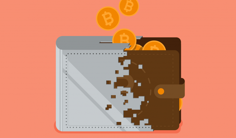 Portfele kryptowalutowe - który wybrać?