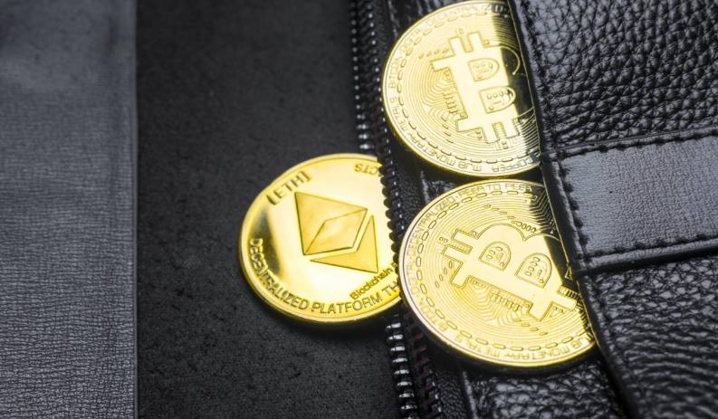 jaki portfel na kryptowaluty wybrać